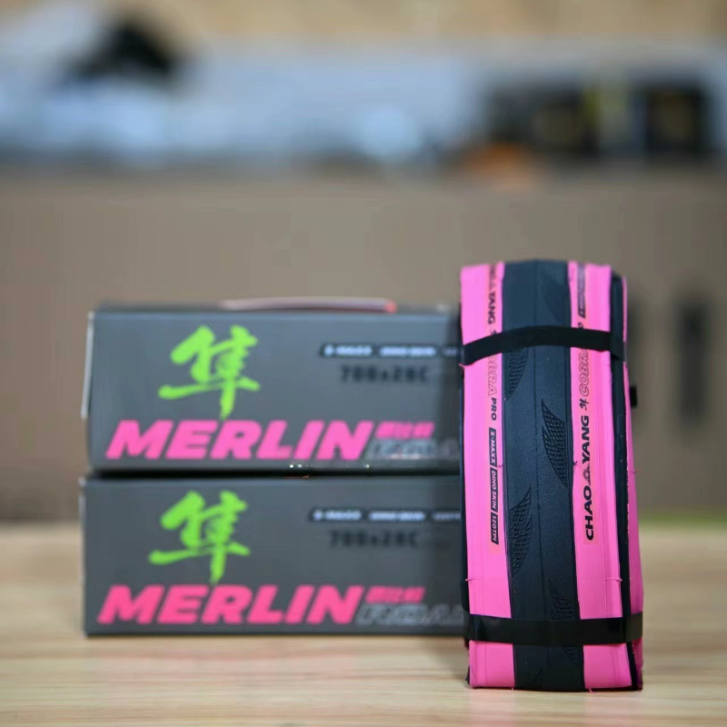 Badminton Victory - 2024 Neuer Chaoyang H479pro Cobra 700